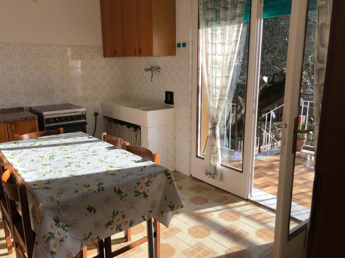 מאלצ'סינה Appartamento Nonna Rosa מראה חיצוני תמונה
